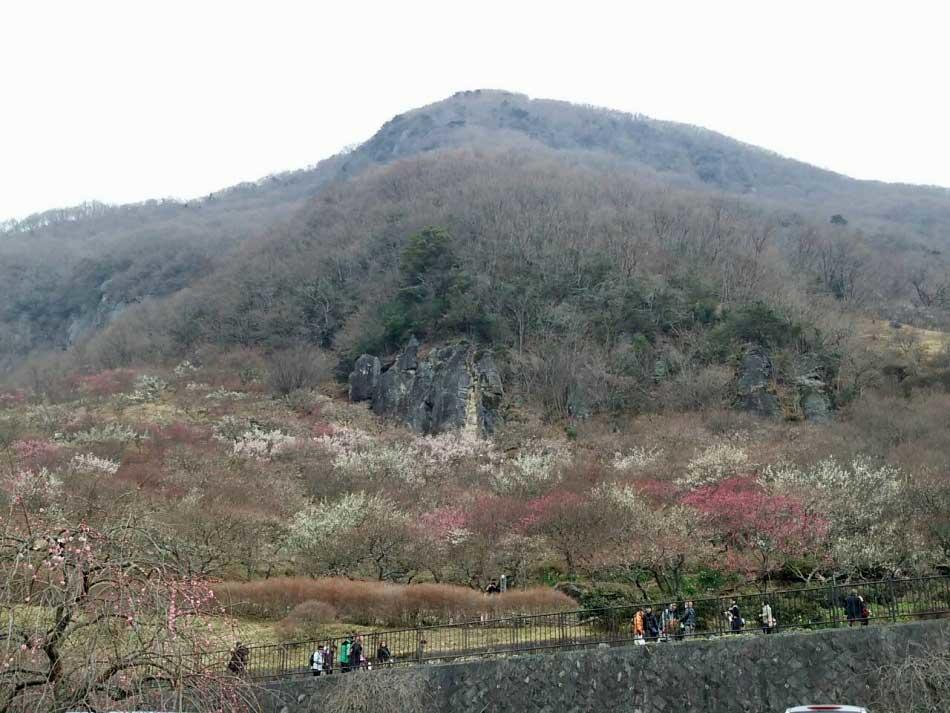 Yugawara Onsen Ryokan Uohan חדר תמונה